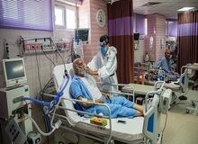 ایران با چند پیک دیگر کرونا روبرو می شود؟/ ویروس کرونا می‌تواند به سلول‌های سایر اندام‌ها بچسبد و تکثیر شود

