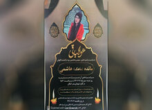 پلیس استان فارس: مائده هاشمی را ماموران نکشتند، بر اثر واژگونی خودرو فوت شده 